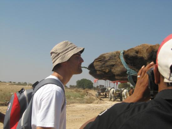 TUNISIE