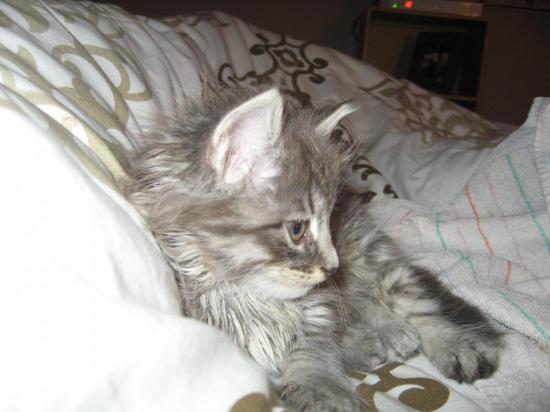 2010-102.jpg