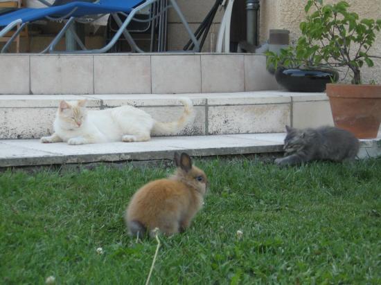 img-2448.jpg