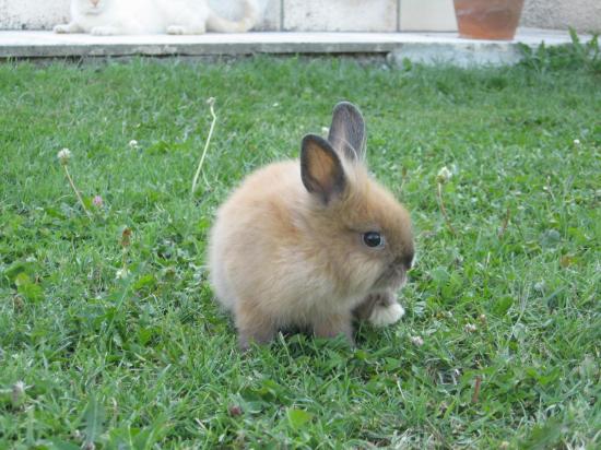 img-2449.jpg