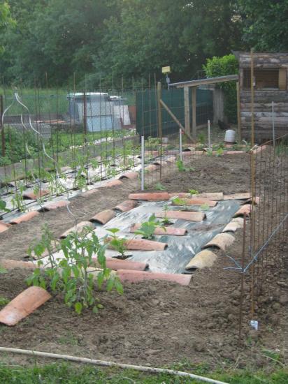 jardin1.jpg