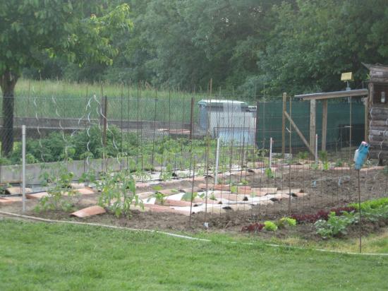 potager-loin.jpg