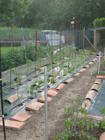 potager2-1.jpg